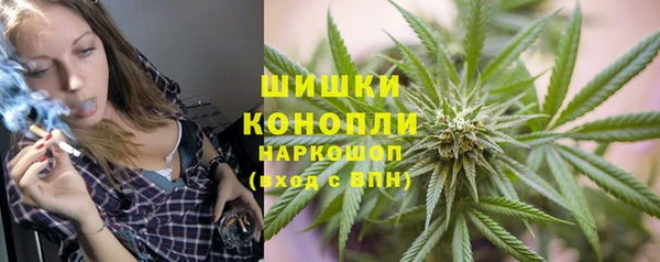 соль ск Туринск